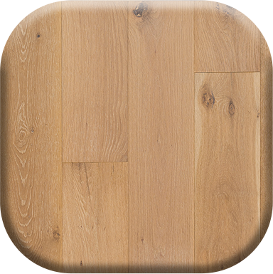 image of the collection